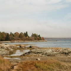 Everett as a Silent Film