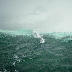 shelter me from the rain with your umbrella