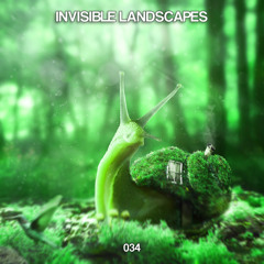 Invisible Landscapes 034