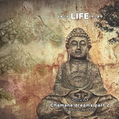 LIFE - Chamane dreams part 2 (Girafon mix 05) - Janvier 2018