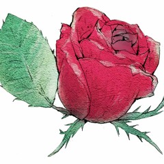 この世で一番美しい死に方