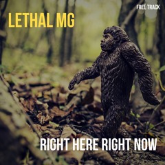 Lethal MG - Right Here Right Now  (FREE DOWNLOAD)