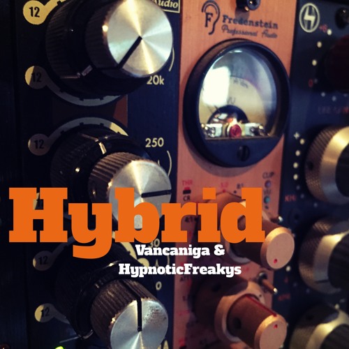 Hybrid - Vancaniga & HypnoticFreakys