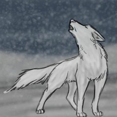 MARTIN & TEX-Winter Paradox {FREE DOWNLOAD}