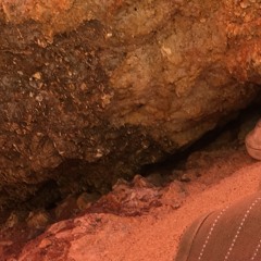 Burger with some Cheese