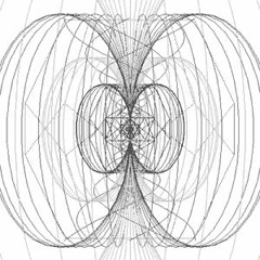 Bows Breaths and Borders -  Faye Shapiro and Orr Sinay - II two II