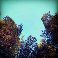 Klingons do not Dance