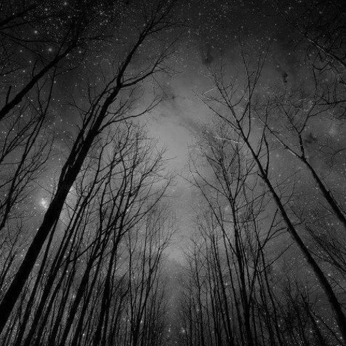 Gonzo - Lost (preview)