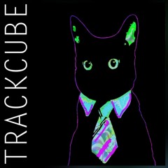 Trackcube - WTF Is This?! (2018 Remake)