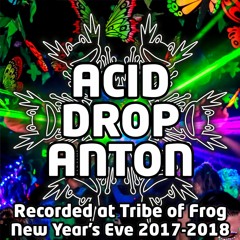 Acid Drop Anton - Recorded at Tribe of Frog New Year's Eve 2017-2018