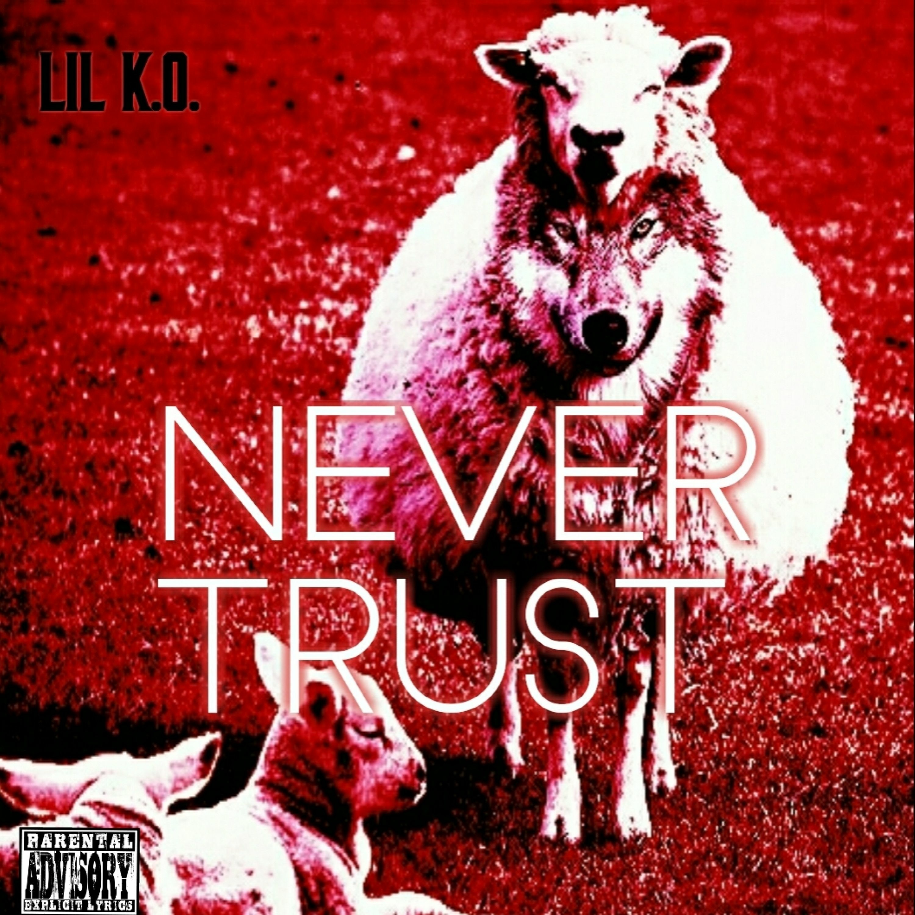 Never Trust episode artwork