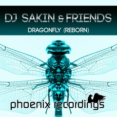 DJ Sakin & Friends - Dragonfly (Madwave Instrumental Mix)