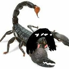 Scorpion-Chan's Big Debut!