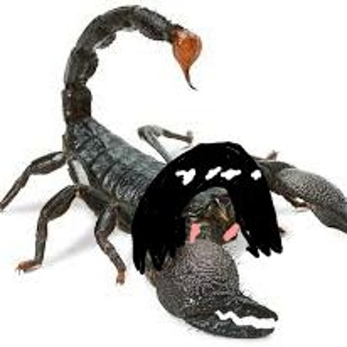 Scorpion-Chan's Big Debut!