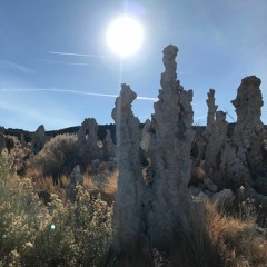 White Weasel Mixtape, 2017