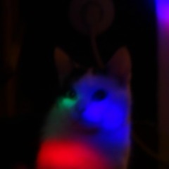 Domochevsky - Wieder Nichts - Slightly Better Version