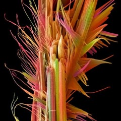 Road To Shenzhen (Flip)