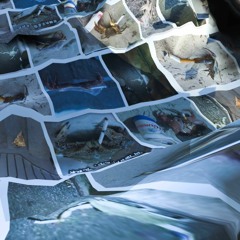 HMURD CRABS VI HORS D'OEUVRE