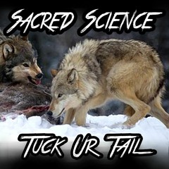 Sacred Science(Subcon and Silentmind)-Tuck Ur Tail-Prod. by Chrisu Beats