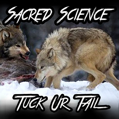 Sacred Science(Subcon and Silentmind)-Tuck Ur Tail-Prod. by Chrisu Beats