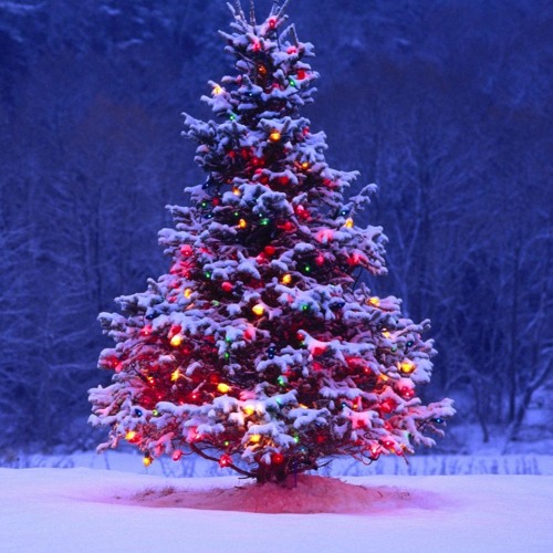 MaxLine - Jingle Bells Michael Mayo - When I'm WInning Christmas Remix