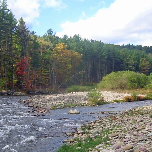 Rondout Neversink Stream Program's 4th Annual Anglers Symposium