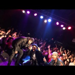 Trendi X Tasman Holloway - Stacking (FreePolo)