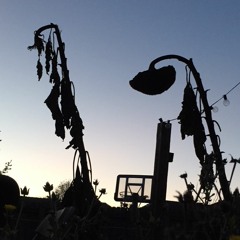 To Have Found And Missed Your Vessel