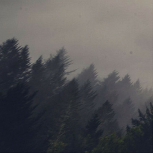 ｉｍ ｓｏｒｒｙ