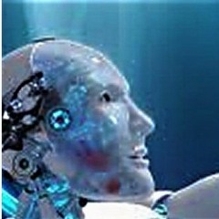 HYBRID HUMANS + Outro