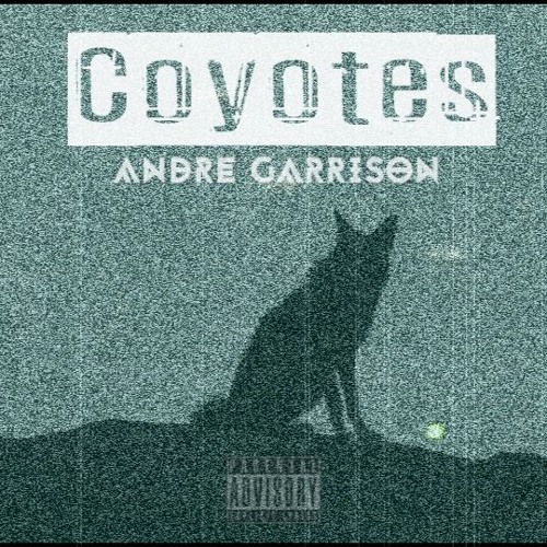 Coyotes (Prod. MisterE)