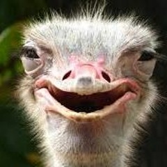 PISS CRYSTALS II COMING SOON