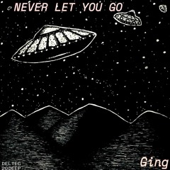 NEVER LET YOU GO