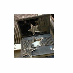 the fault in our stars- troye sivan