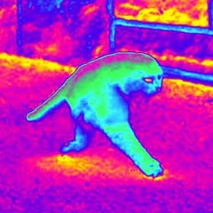 Qitsuk (prod. by Claws)