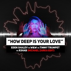 How Deep Is Your Love San Atias/Eden shalev/w&w/Timmy Trumpet/r3hab(Michael Zarka mashup)