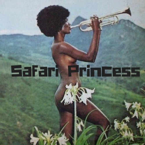 PREMIERE: Safari Princess - House Hustle [Hoima Records]