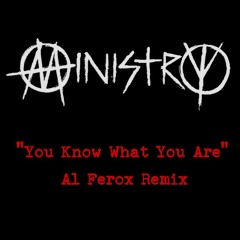 Ministry "You Know What You Are" Al Ferox remix - Free Download