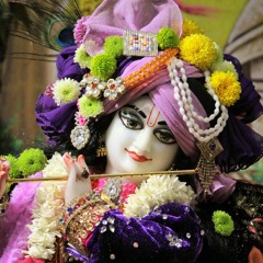 The Mayapuris Jai Sri Krisna Bolo Jay Radhe