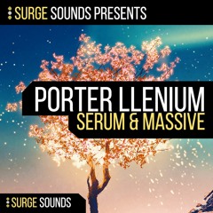 Surge Sounds | Porter llenium
