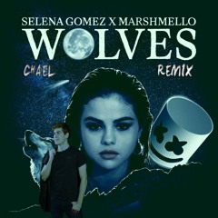 Selena Gomez & Marshmello - Wolves (Chael Remix)