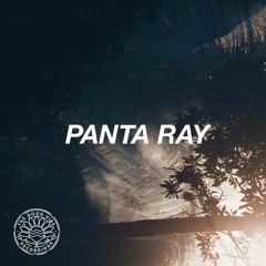 PANTA RAY - Feel It Still