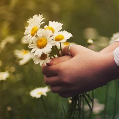 ما في وَرد بيُطلُب مَيّ_ملحم بَركات