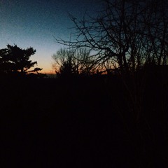 julia engelmann - grapefruit (1)