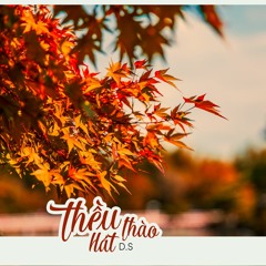 [LangThangSoul] Thều thào hát...- D.S