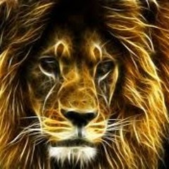 Thoughts From A Nobody