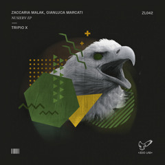 Zaccaria Malak, Gianluca Marcati - Nusierv (Tripio X Remix)