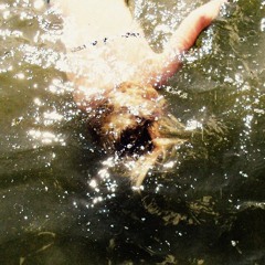 SHXCXCHCXSH - Drain This Lord
