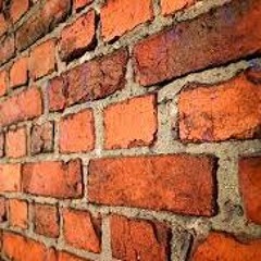 AR-16 Ft. Yung Indo - Bricks