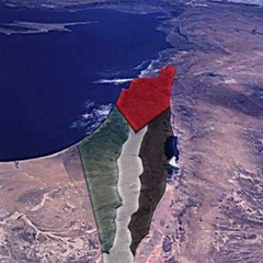 لماذا فلسطين؟